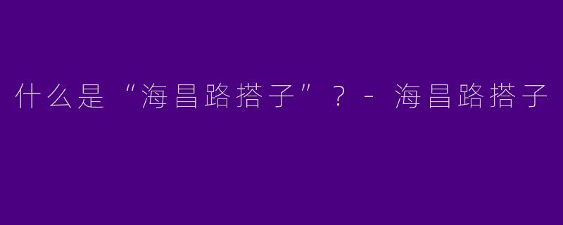 什么是“海昌路搭子”？-海昌路搭子