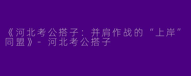 《河北考公搭子：并肩作战的“上岸”同盟》-河北考公搭子