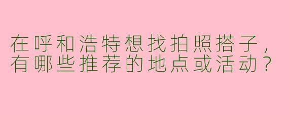 在呼和浩特想找拍照搭子，有哪些推荐的地点或活动？