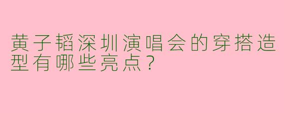 黄子韬深圳演唱会的穿搭造型有哪些亮点?