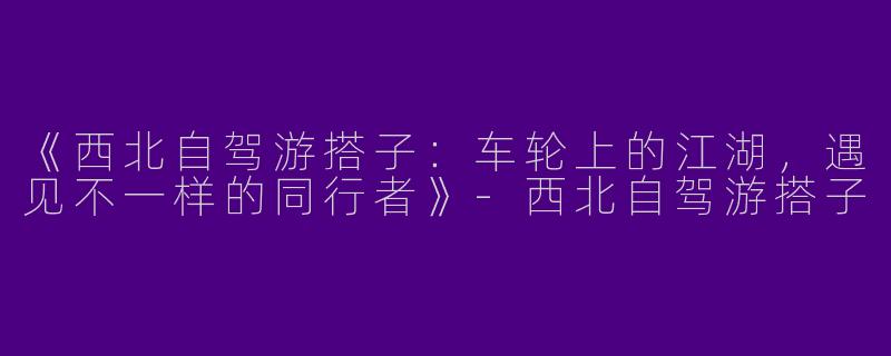 《西北自驾游搭子：车轮上的江湖，遇见不一样的同行者》-西北自驾游搭子