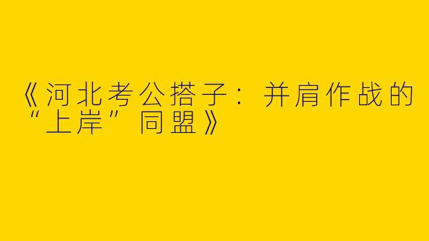 《河北考公搭子：并肩作战的“上岸”同盟》