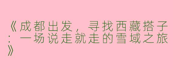 《成都出发，寻找西藏搭子：一场说走就走的雪域之旅》