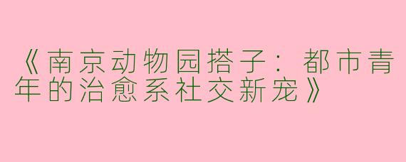 《南京动物园搭子：都市青年的治愈系社交新宠》