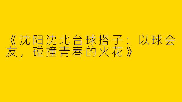 《沈阳沈北台球搭子：以球会友，碰撞青春的火花》