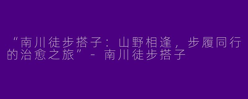 “南川徒步搭子：山野相逢，步履同行的治愈之旅”-南川徒步搭子