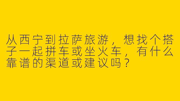 从西宁到拉萨旅游，想找个搭子一起拼车或坐火车，有什么靠谱的渠道或建议吗？