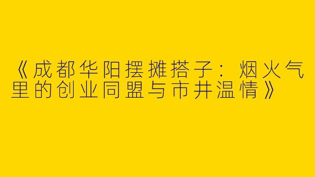《成都华阳摆摊搭子：烟火气里的创业同盟与市井温情》