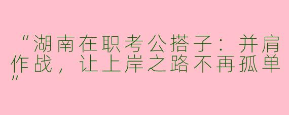 “湖南在职考公搭子：并肩作战，让上岸之路不再孤单”