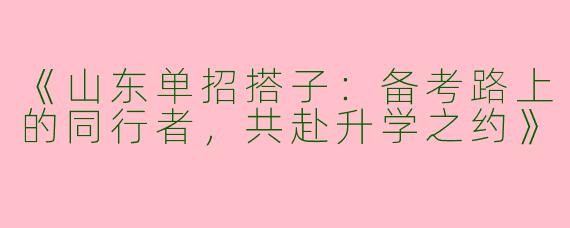 《山东单招搭子:备考路上的同行者,共赴升学之约》