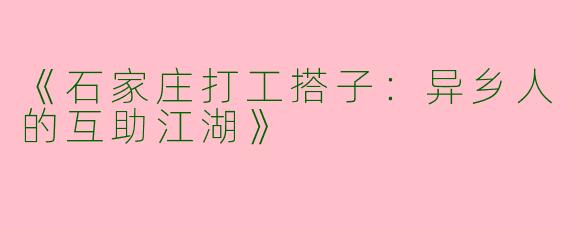 《石家庄打工搭子：异乡人的互助江湖》