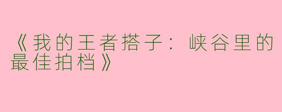 《我的王者搭子：峡谷里的最佳拍档》