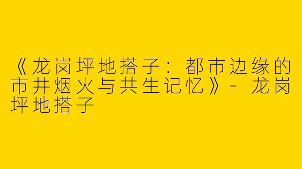 《龙岗坪地搭子：都市边缘的市井烟火与共生记忆》
