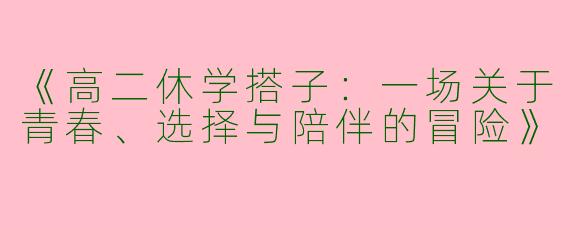 《高二休学搭子：一场关于青春、选择与陪伴的冒险》