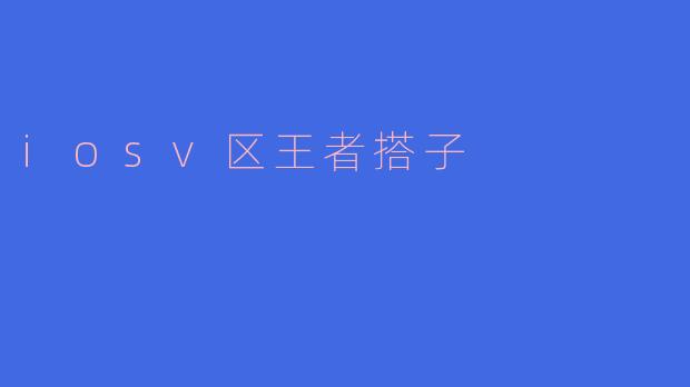《iOS微信区王者荣耀“搭子”文化:从路人到战友的游戏社交新生态》
