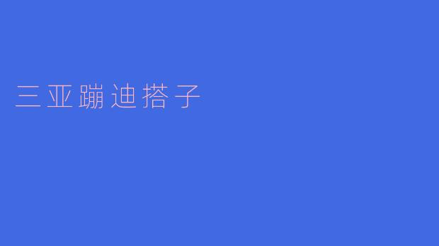《三亚夜未眠：寻找你的蹦迪搭子，在椰林海风中放肆摇摆！》