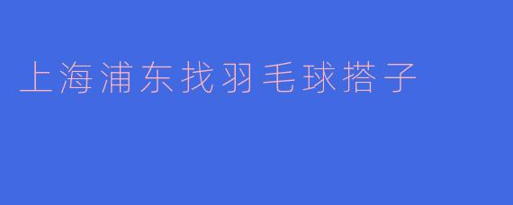 上海浦东找羽毛球搭子