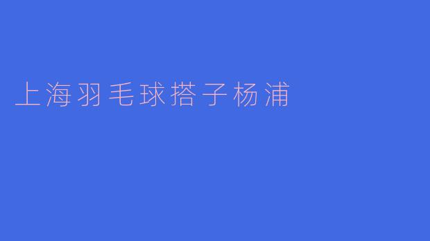 上海羽毛球搭子杨浦