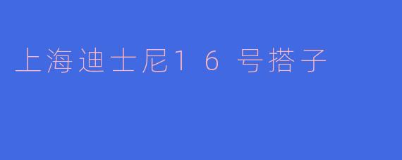 上海迪士尼16号搭子