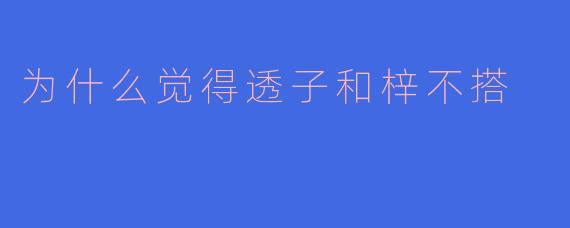 为什么觉得透子和梓不搭
