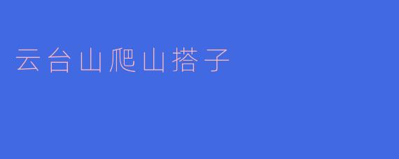 云台山爬山搭子
