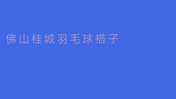 佛山桂城羽毛球搭子