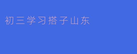 初三学习搭子山东