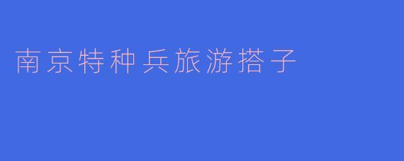 南京特种兵旅游搭子