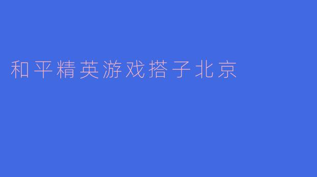 和平精英游戏搭子北京