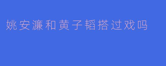 姚安濂和黄子韬搭过戏吗