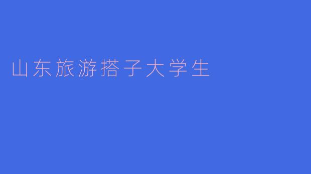 山东旅游搭子大学生