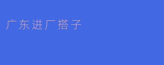 广东进厂搭子