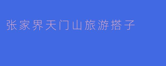 张家界天门山旅游搭子