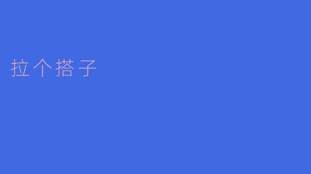 拉个搭子