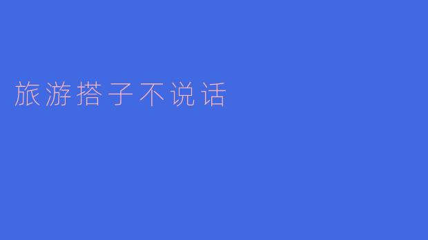 旅游搭子不说话