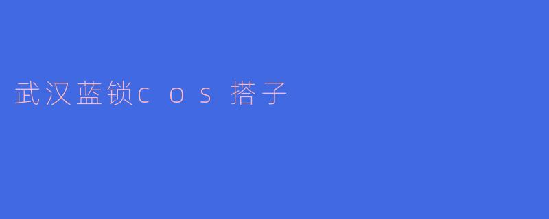 武汉蓝锁cos搭子