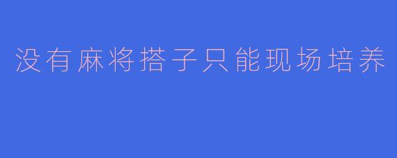 没有麻将搭子只能现场培养