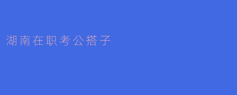 湖南在职考公搭子