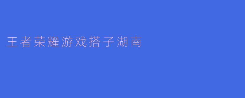 王者荣耀游戏搭子湖南