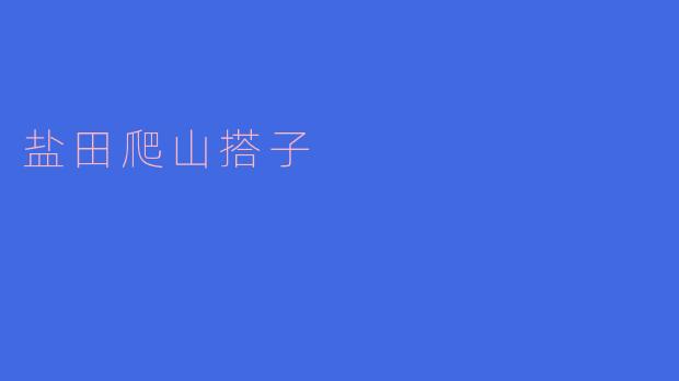 盐田爬山搭子