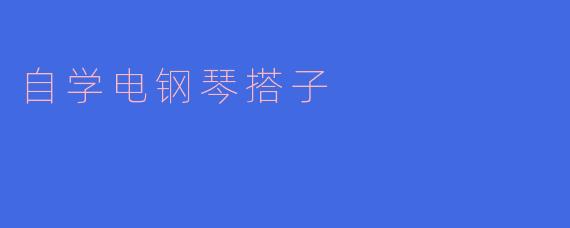 自学电钢琴搭子