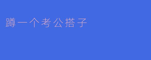 《蹲一个考公搭子：并肩作战，上岸不孤单》