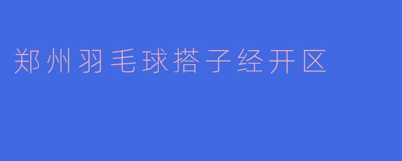 郑州羽毛球搭子经开区