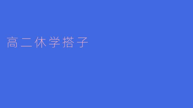 高二休学搭子