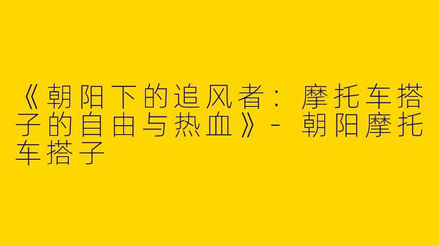 《朝阳下的追风者：摩托车搭子的自由与热血》-朝阳摩托车搭子