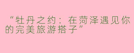 “牡丹之约：在菏泽遇见你的完美旅游搭子”