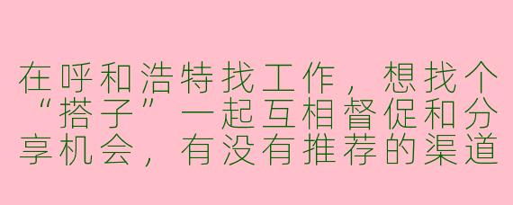 在呼和浩特找工作，想找个“搭子”一起互相督促和分享机会，有没有推荐的渠道或方式？