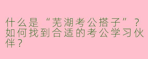 什么是“芜湖考公搭子”？如何找到合适的考公学习伙伴？