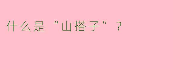 什么是“山搭子”？