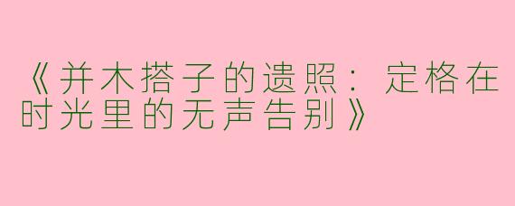 《并木搭子的遗照：定格在时光里的无声告别》